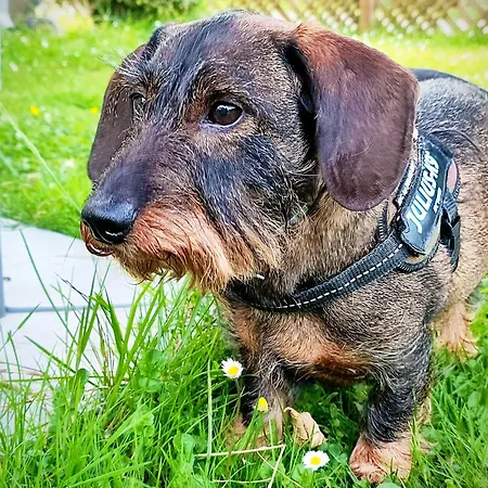 Hipyrenees Nocleg ze śniadaniem 3*