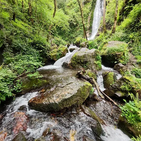 Nocleg ze śniadaniem Hipyrenees 3*