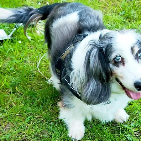 Hipyrenees Nocleg ze śniadaniem 3*